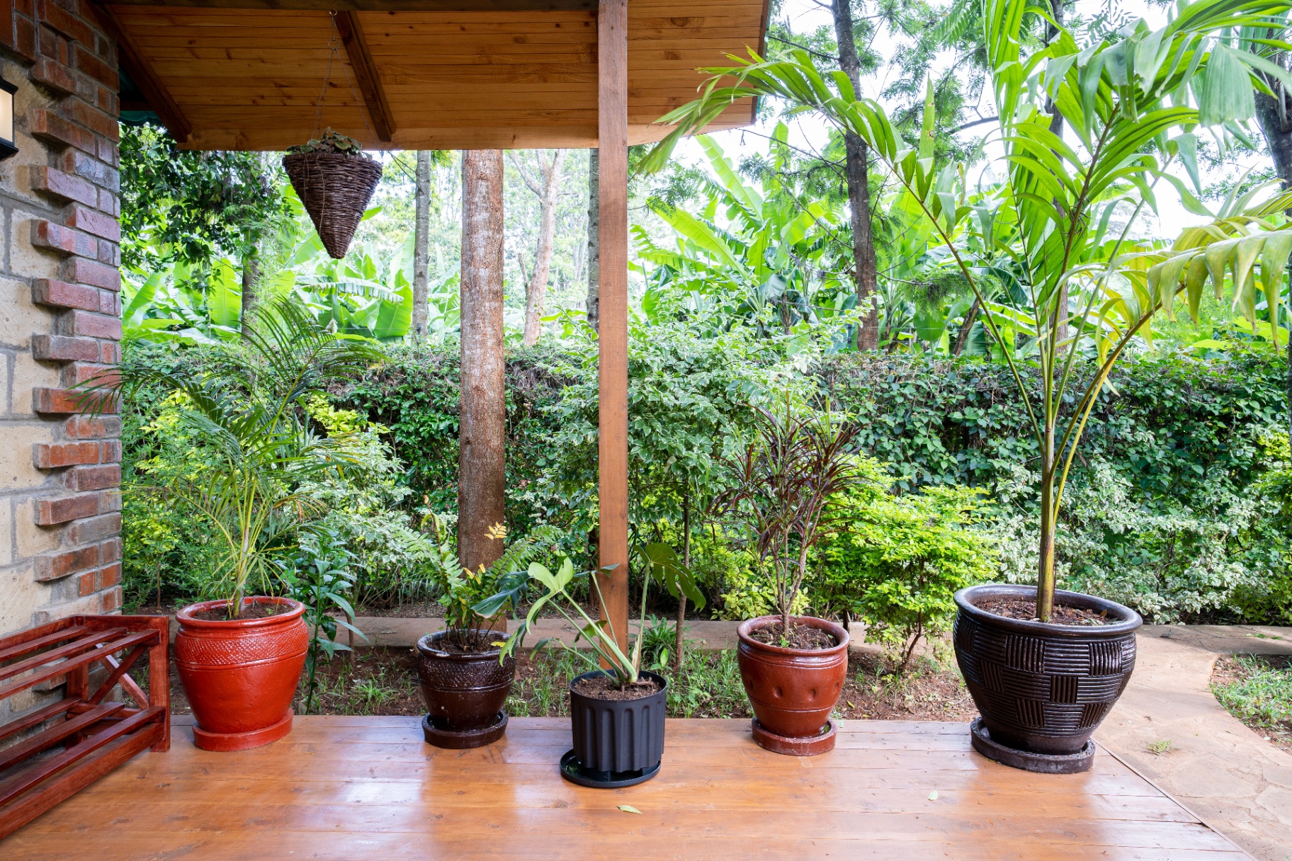 Covered timber verandah at Cottage 2 lined with terracotta and woven planters holding palms and greenery against a dense tropical garden of banana trees and shrubs