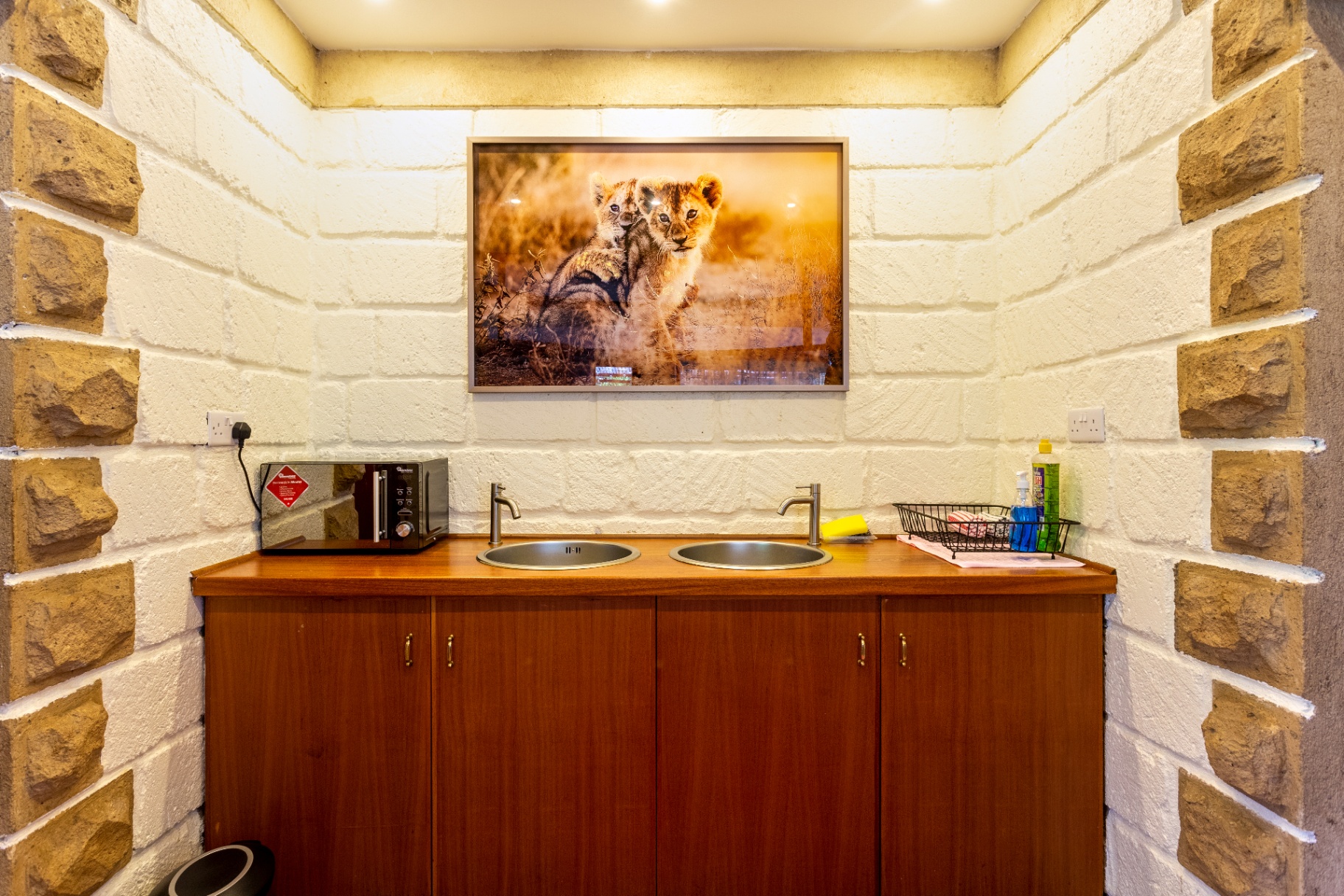 Close view of the kitchenette with double sink, microwave and framed lion cub artwork on a white-brick wall