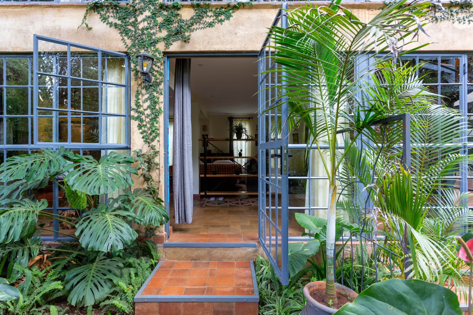 Steel-framed glass doors opening onto the studio bedroom from a terracotta-tiled step surrounded by monstera, ferns and palms