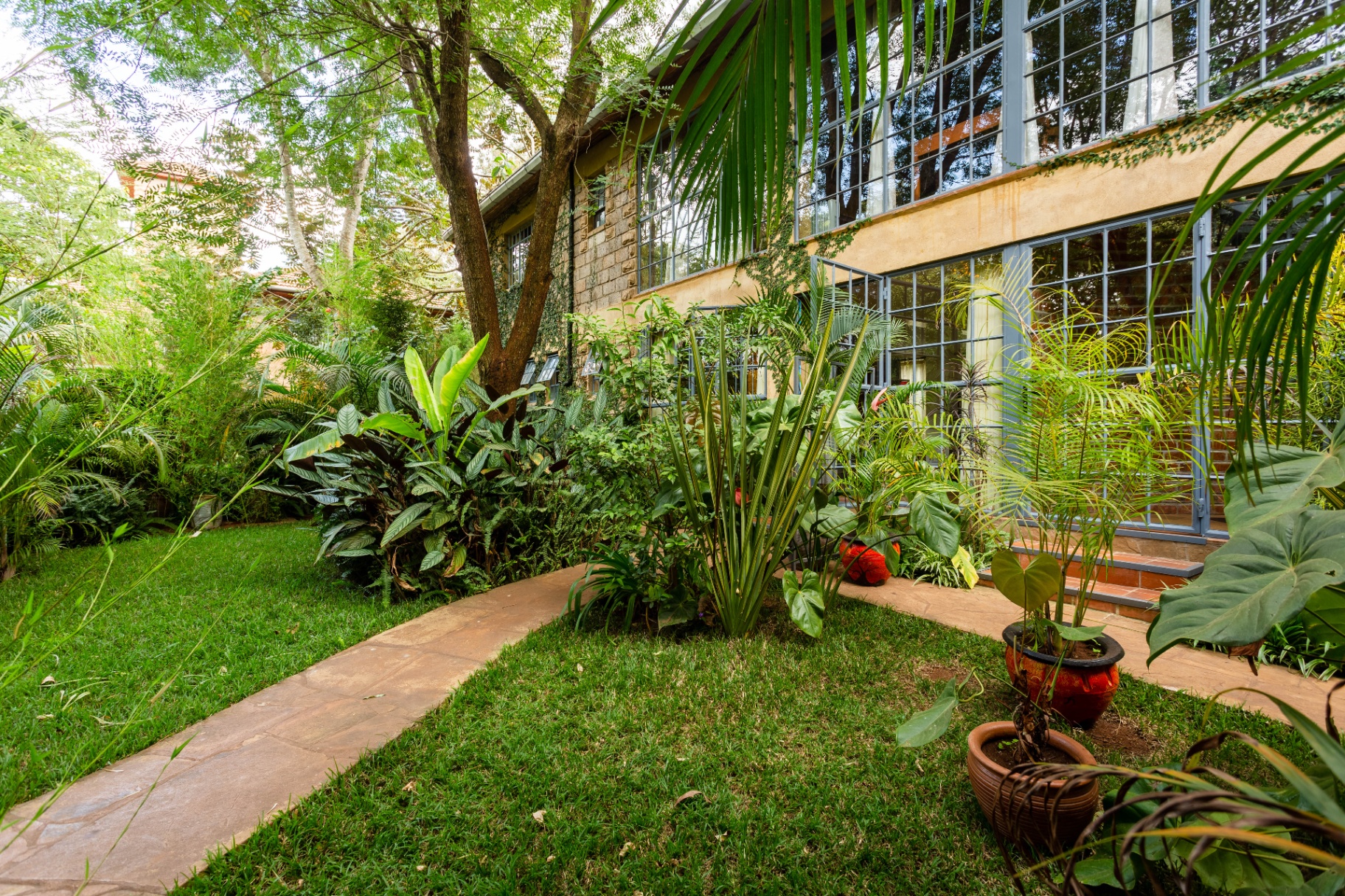 Exterior view of the studio with full-height steel-framed windows fronting a lush tropical garden and flagstone path