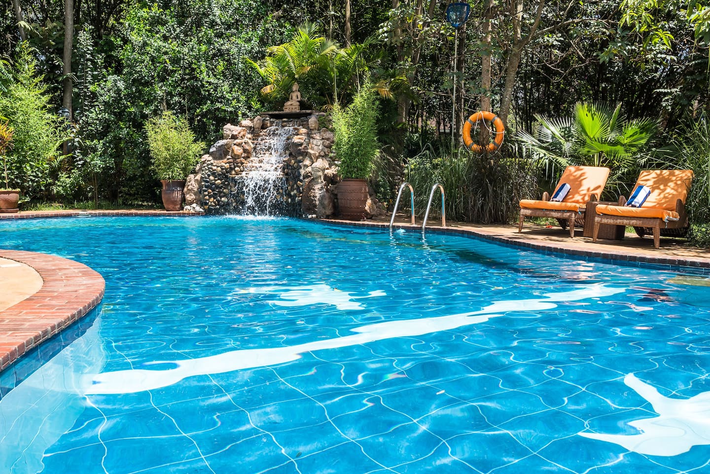 Slow mornings by the pool — experience for guests staying at Jungle Oasis Nairobi