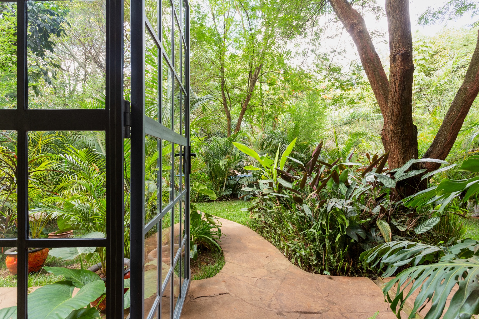 Open steel-framed studio door looking onto a curved flagstone path winding through ferns, monstera and mature trees