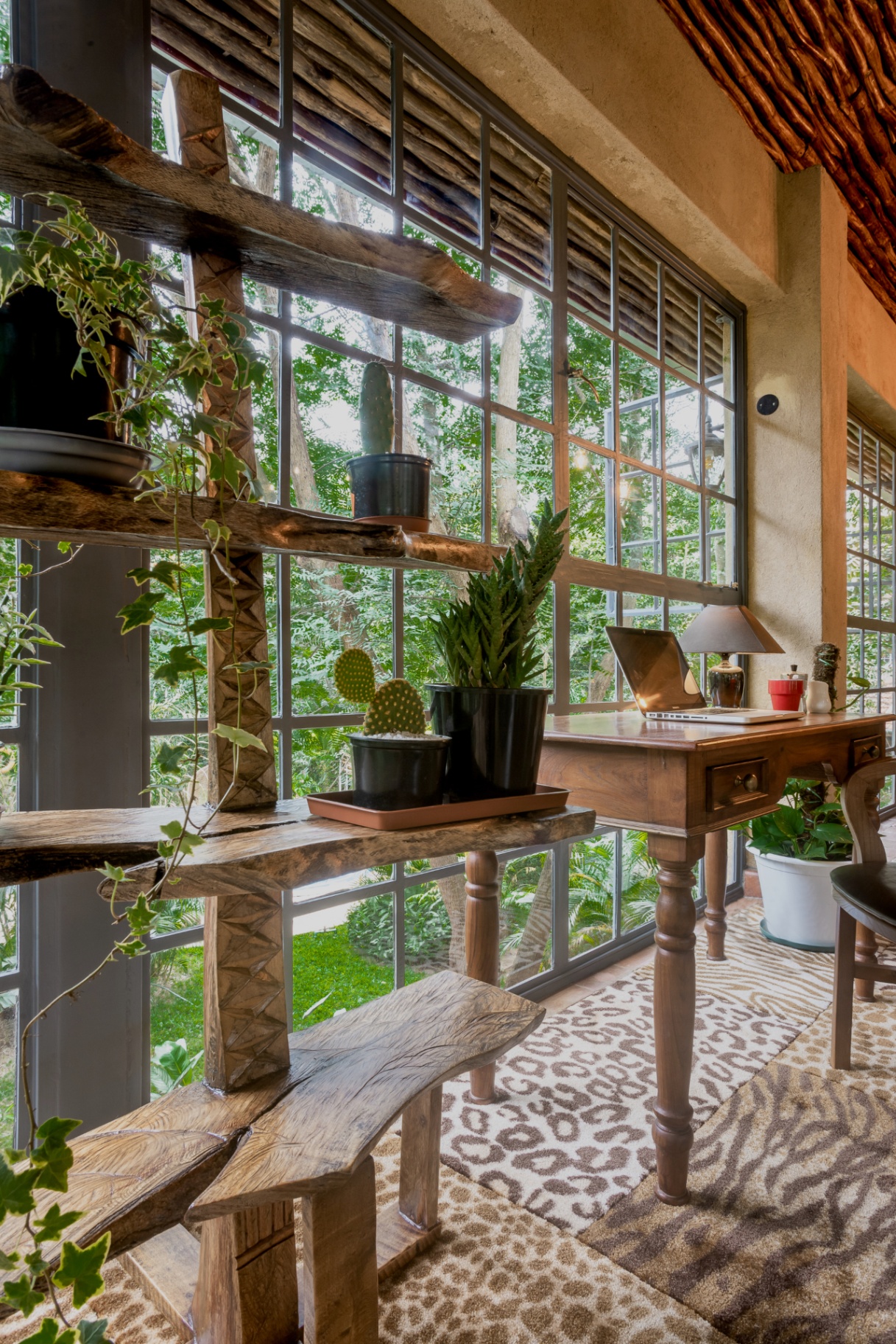 Wooden writing desk beside a floor-to-ceiling window with potted cacti, ivy and a leopard-print rug