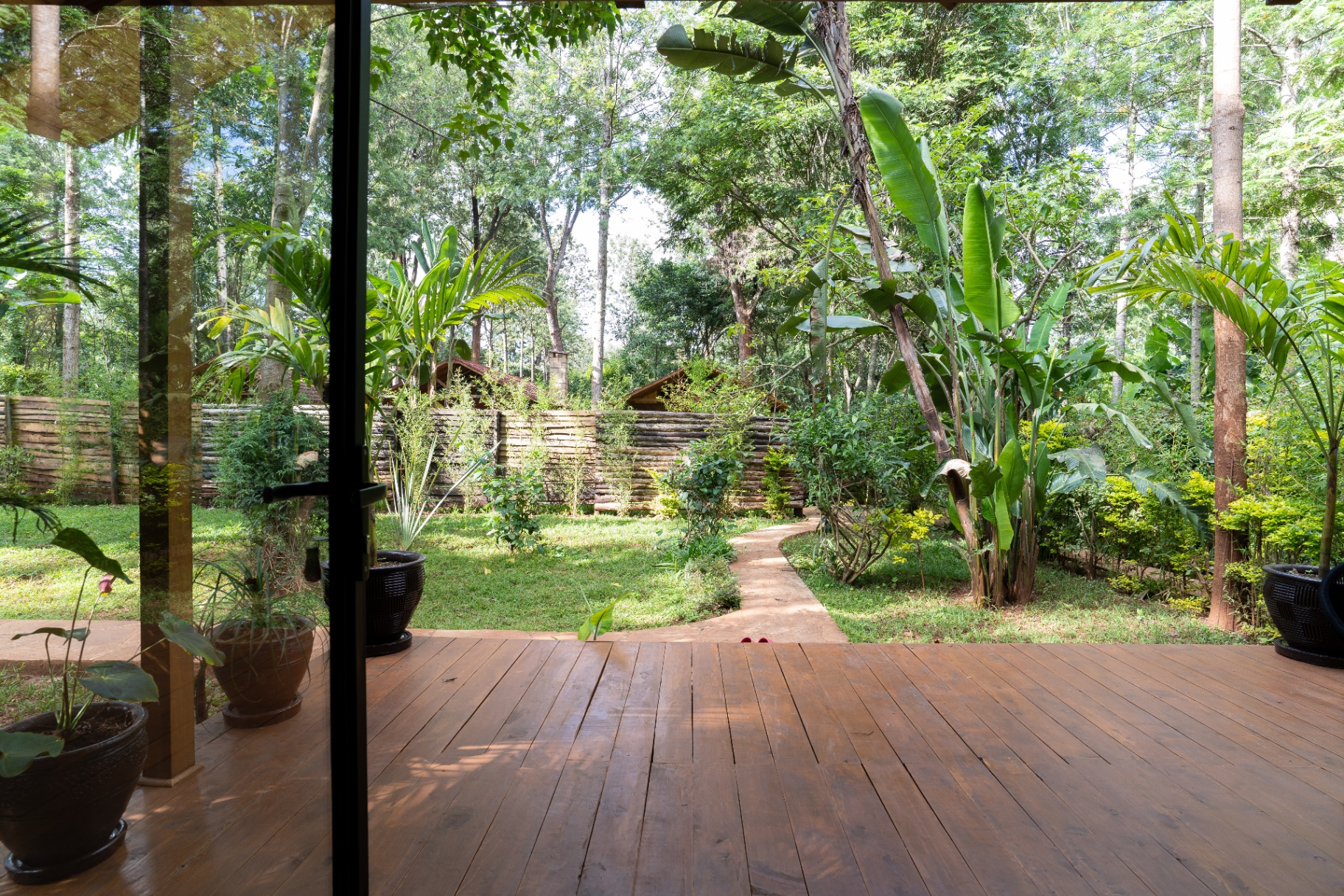 Wake up to birdsong — experience for guests staying at Jungle Oasis Nairobi