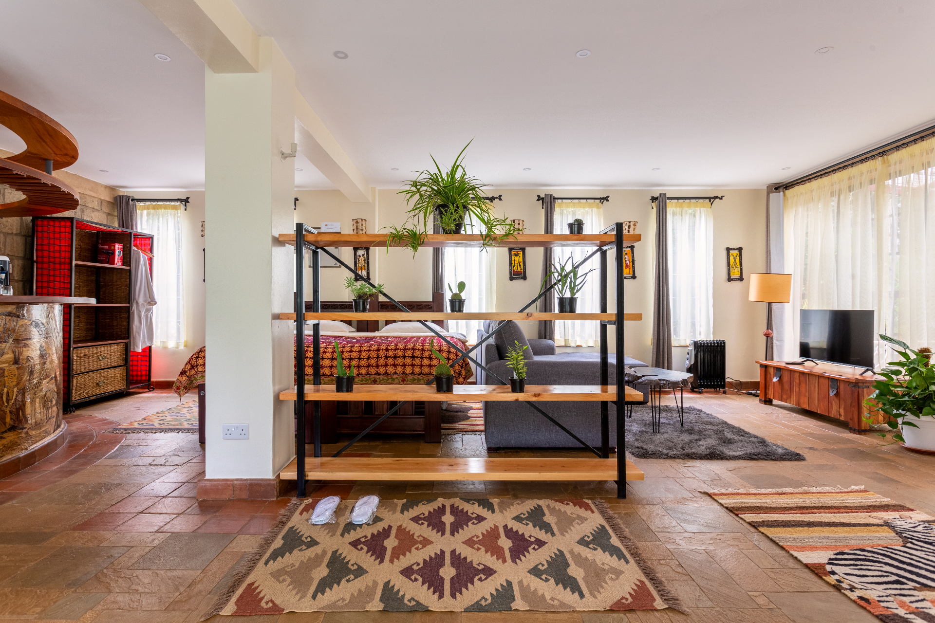 Open-plan lounge with grey sofa, media wall and a plant-topped timber shelving unit dividing it from the bedroom